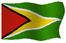 drapeau guyana