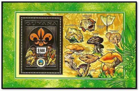 Rencontre internationale scout